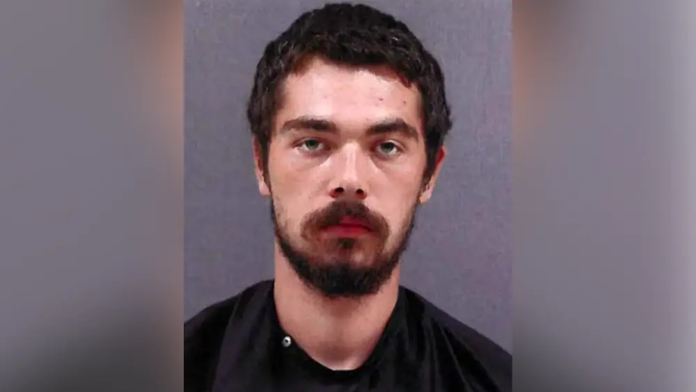 Cold Case: Suspect charged after remains of missing person found in South Carolina backyard
