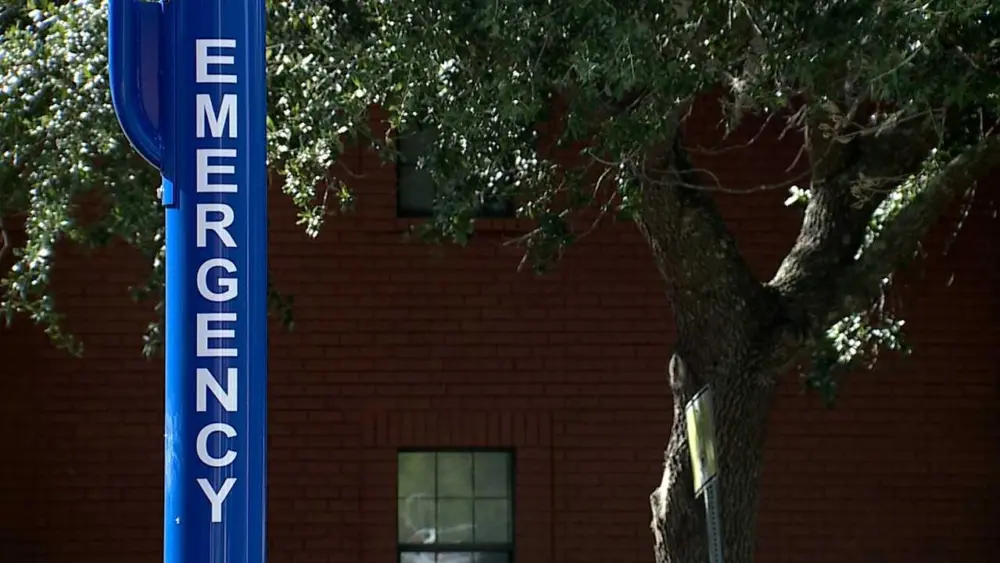 'A simple step that could save lives': Savannah woman wants emergency call boxes in parks