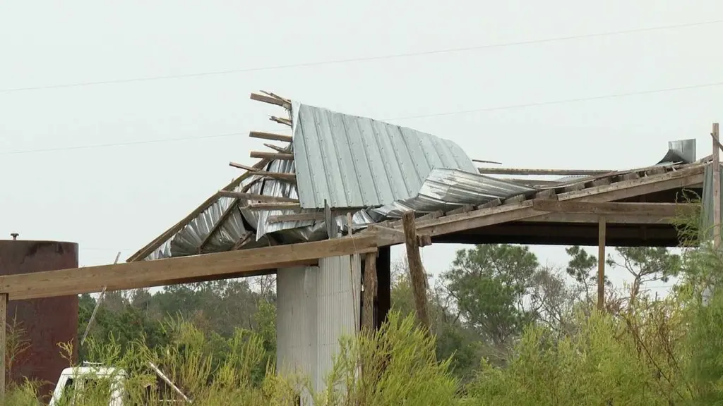 One year later, Jeff Davis farmers still waiting for federal help after Hurricane Helene