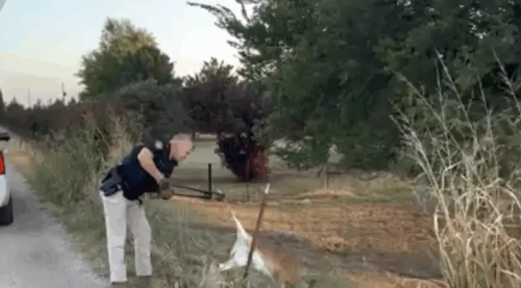 Oh Deer: Police rescue fawn stuck in fence