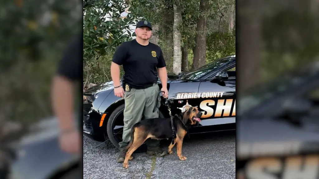 Georgia Department of Corrections K9 killed, officer injured in Ware County crash