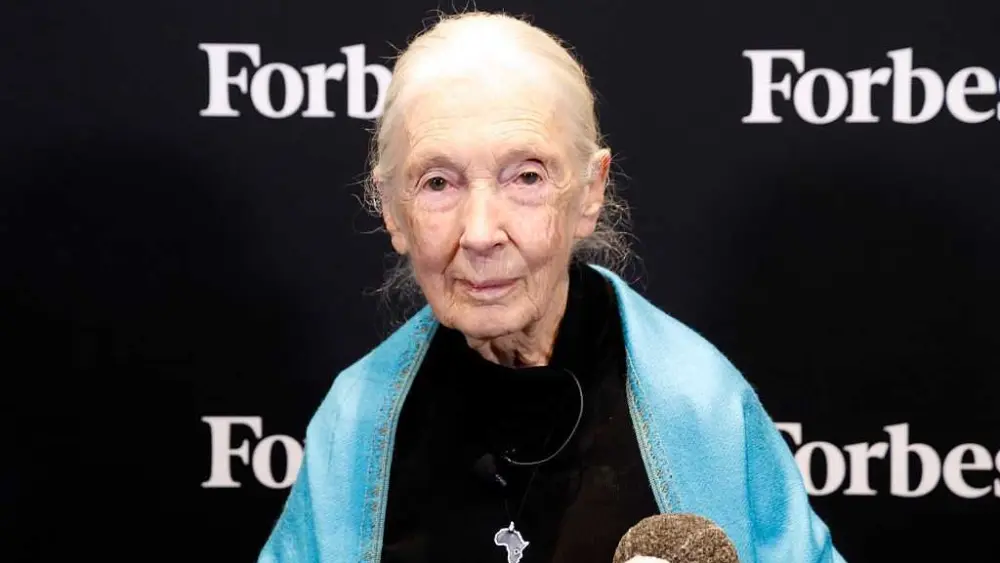 Jane Goodall, conservationist known for chimpanzee research, dies at 91