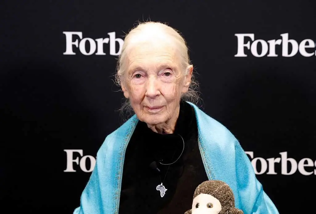 Jane Goodall, conservationist known for chimpanzee research, dies at 91