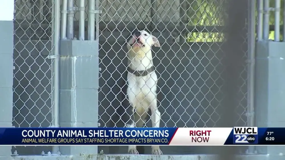 Bryan County Animal Services faces staffing challenges amid new kennel construction