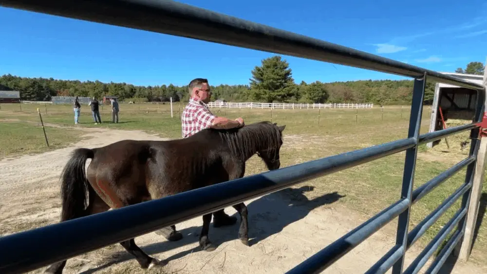 At this Massachusetts farm, men find recovery from drug and alcohol abuse