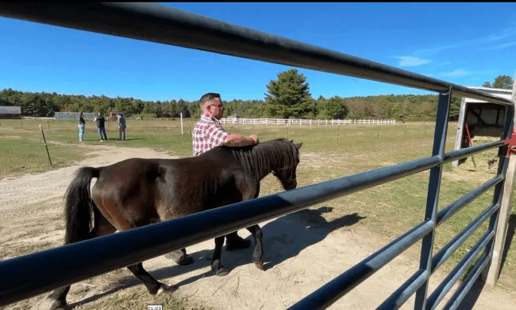 At this Massachusetts farm, men find recovery from drug and alcohol abuse
