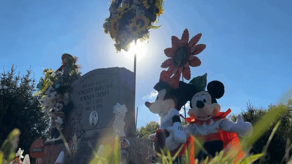 Decade after 2-year-old's death, her organ donor recipient living with healthy lungs