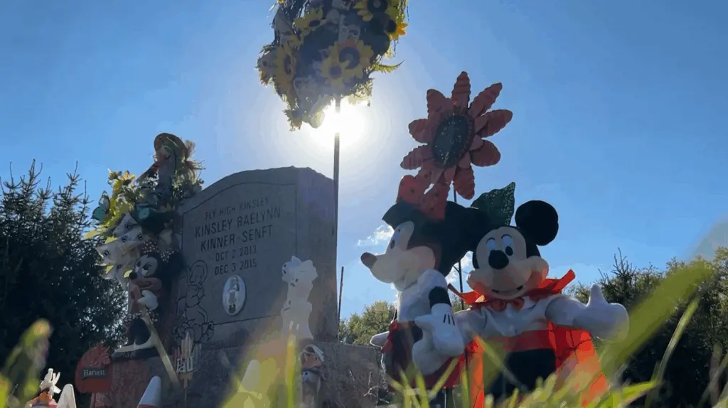 Decade after 2-year-old's death, her organ donor recipient living with healthy lungs
