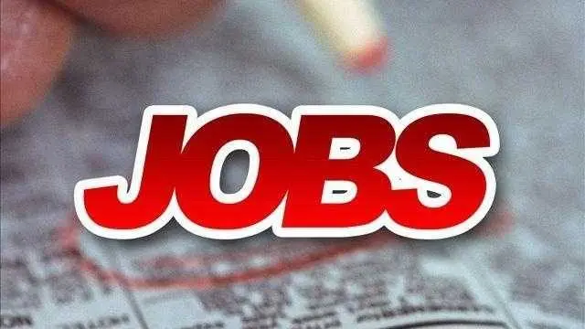Looking for work? Chatham County looks to fill roughly 20 positions