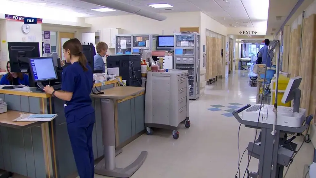 'We can’t afford this': Savannah mom health care scares with gov. shutdown