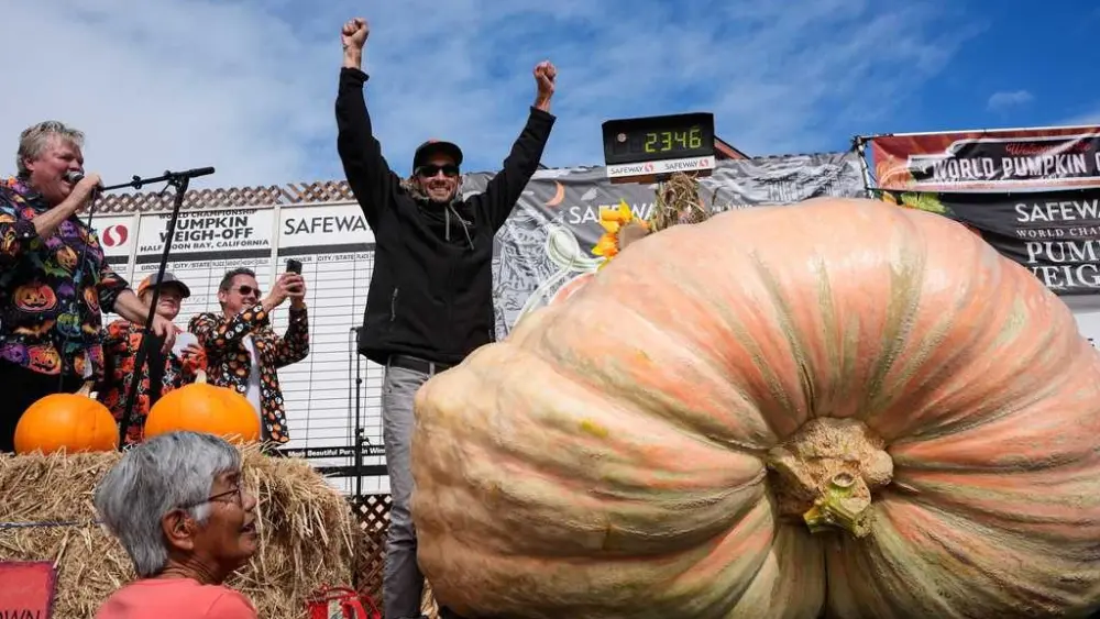 California engineer wins World Championship Pumpkin Weigh-Off with 2,346-pound gourd