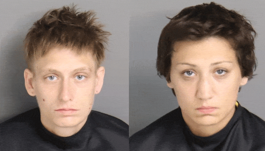 Warrants: 2 South Carolina women face charges for setting dog on fire