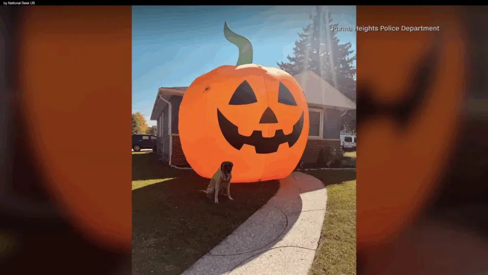 VIDEO: Ohio police officers chase inflatable pumpkin