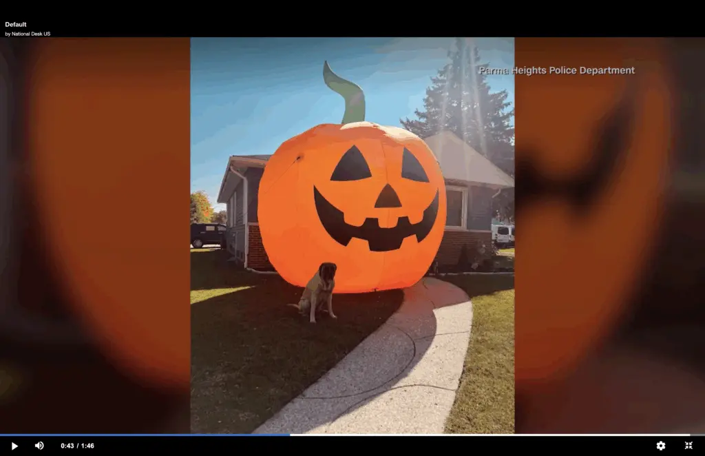 VIDEO: Ohio police officers chase inflatable pumpkin