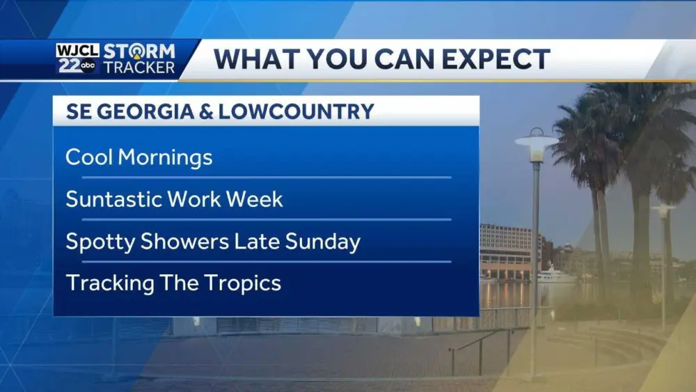 what-you-can-expect-wed-68f03a84c3a5b