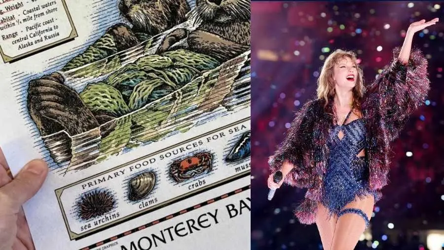 Monterey Bay Aquarium reissues Taylor Swift-worn otter tee; donations surge to over $900K