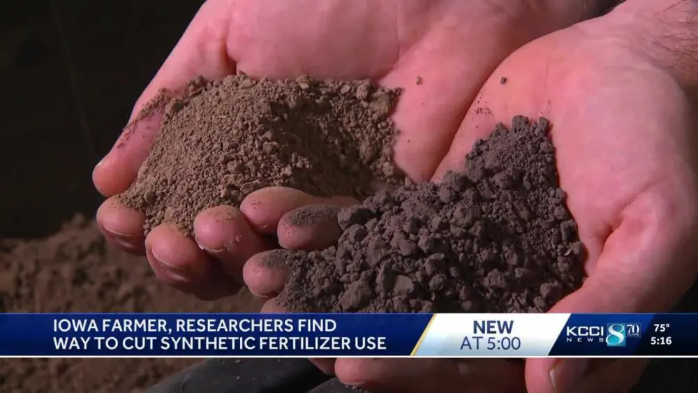 Turning manure into magic: Farmer, researchers use byproduct to cut synthetic fertilizer use