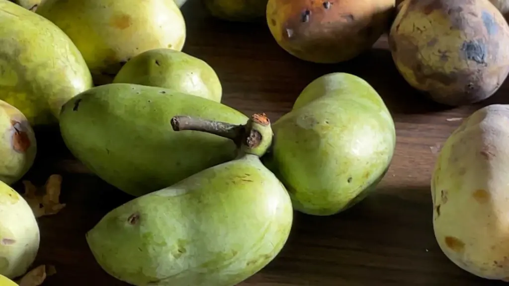 pawpaws-68ed49d1516e9