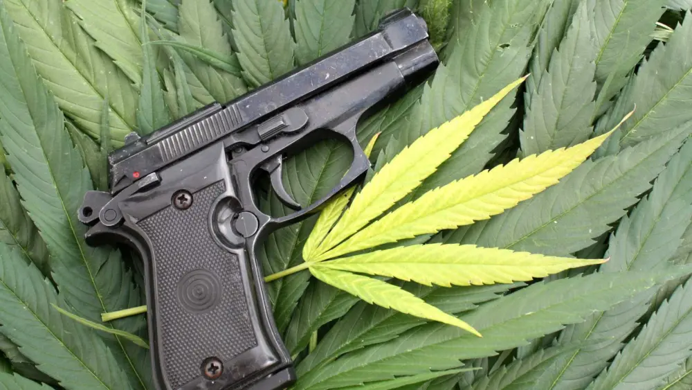Supreme Court will consider whether people who regularly smoke pot can legally own guns