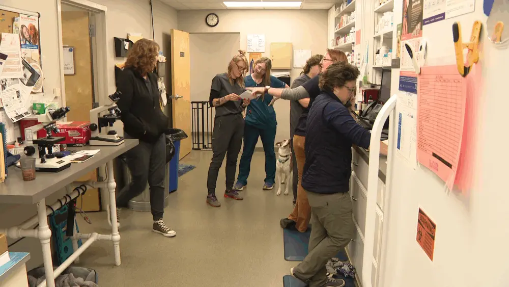 Veterinary industry faces challenges while trying to provide care