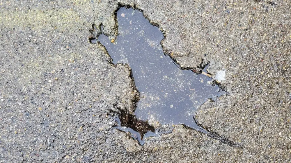 The 'Chicago rat hole' sparked internet fervor in 2024. Now, scientists have found the culprit