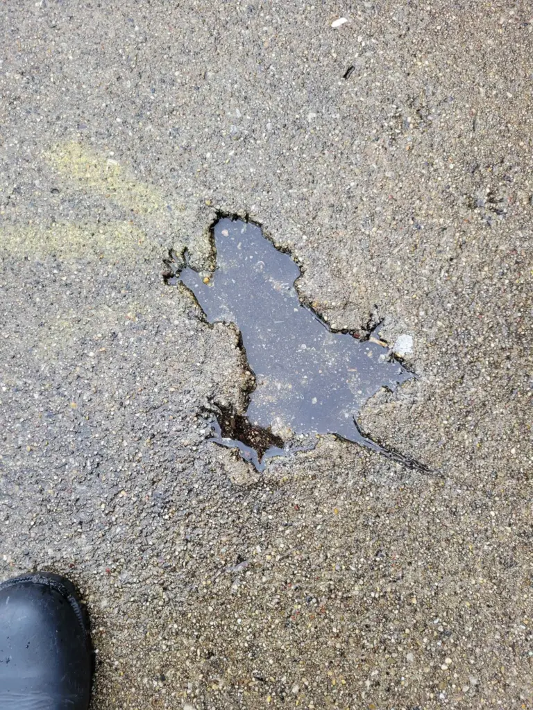 The 'Chicago rat hole' sparked internet fervor in 2024. Now, scientists have found the culprit