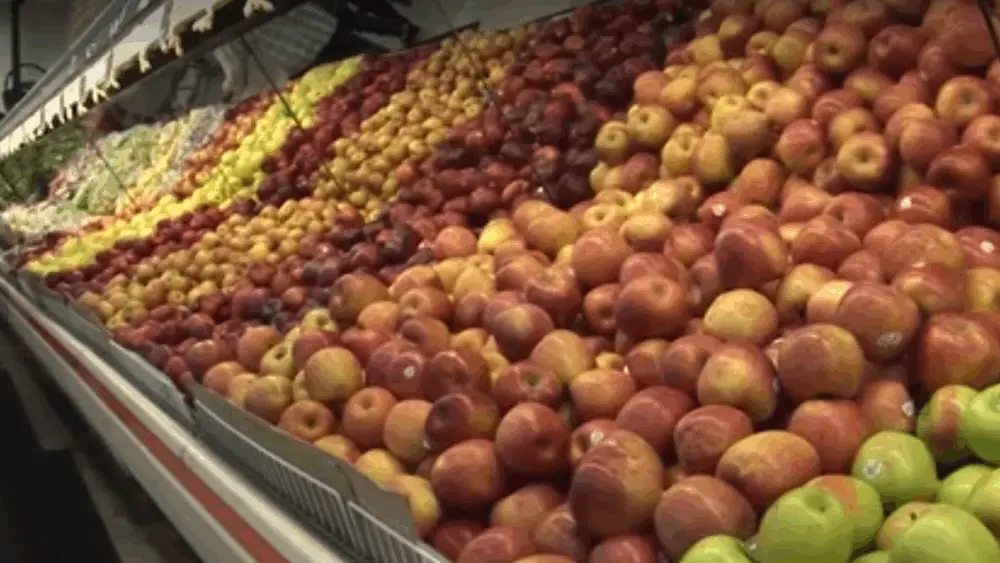 South Carolina families face uncertainty over SNAP benefits amid federal shutdown
