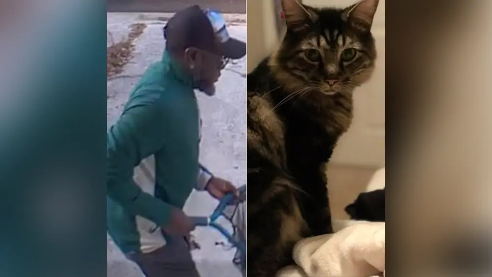 Savannah police seek help finding man accused of stealing family's cat