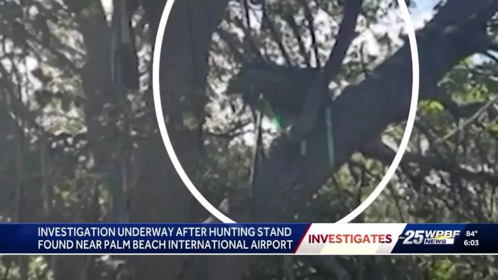 Iguana hunter says tree stand facing Air Force One’s runway may have been there for two years