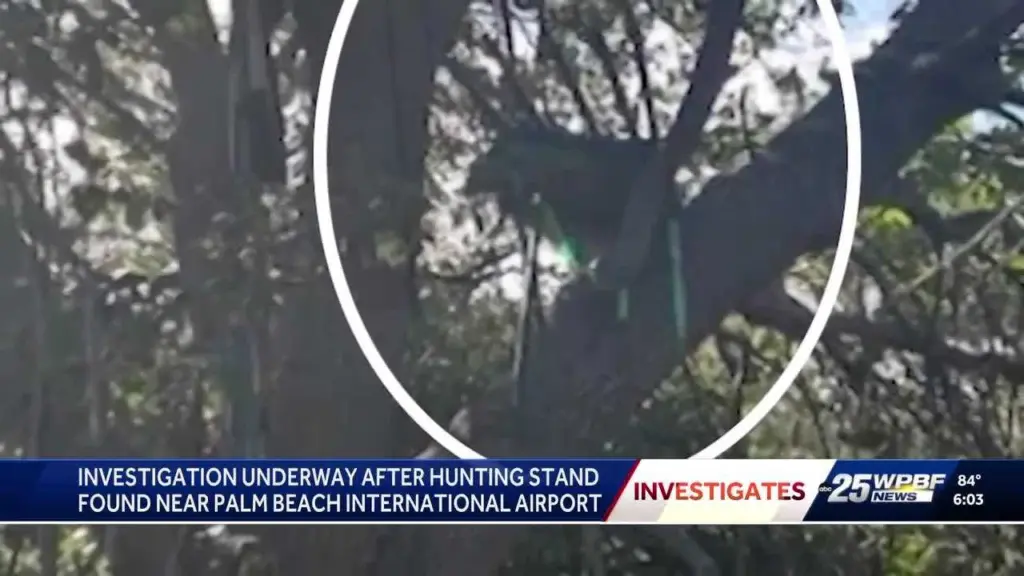 Iguana hunter says tree stand facing Air Force One’s runway may have been there for two years