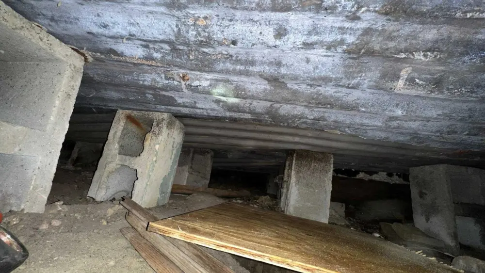 Treats and teamwork: Rascal the dog saved after two days stuck in a deep well during home remodel