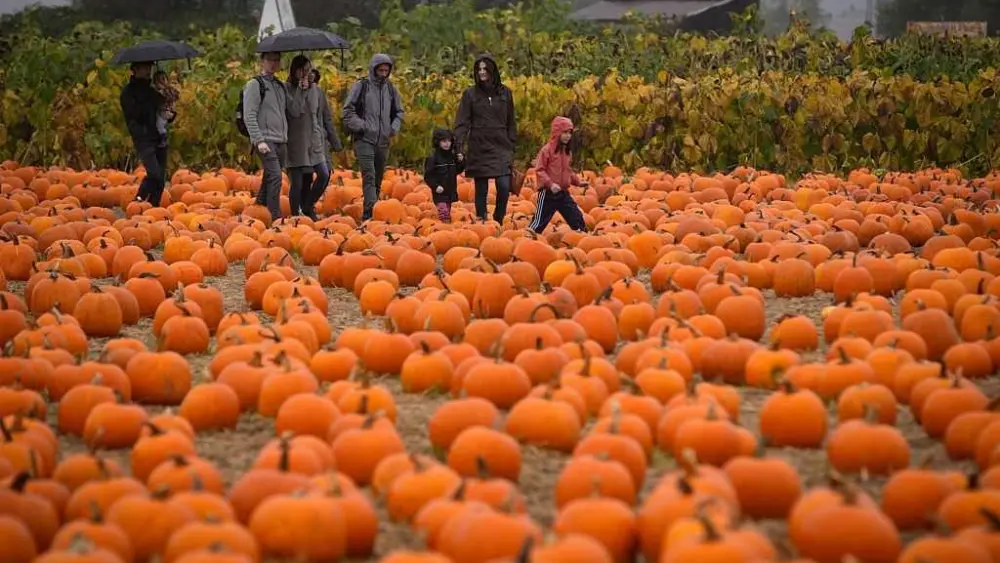 gettyimages-2240416880-68ffa0300cae2