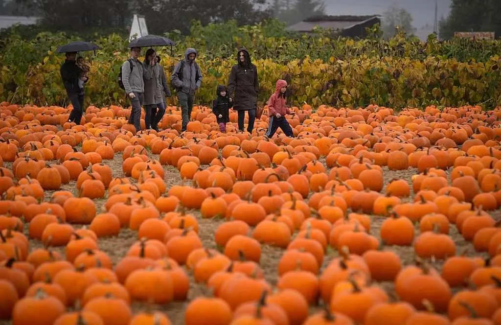 gettyimages-2240416880-68ffa0300cae2