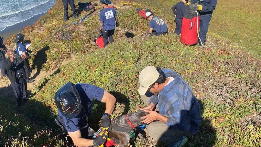 A San Francisco dog wags its tail and kisses rescuers after it's plucked from the side of a cliff