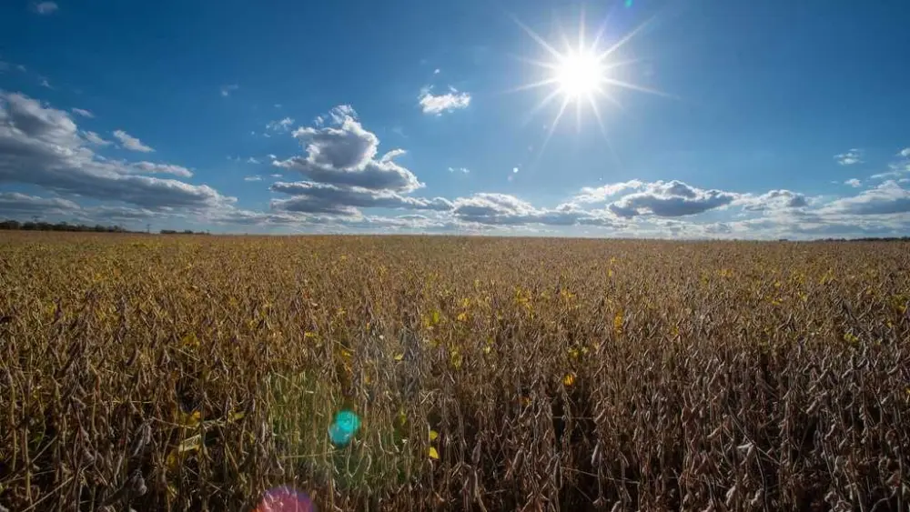 4 Republicans back Senate resolution to undo Trump's tariffs around the globe