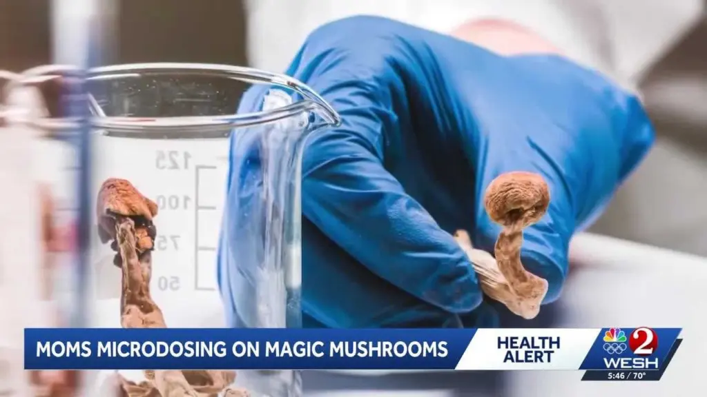 Magic mushrooms for postpartum depression treatment? Florida researchers running trials