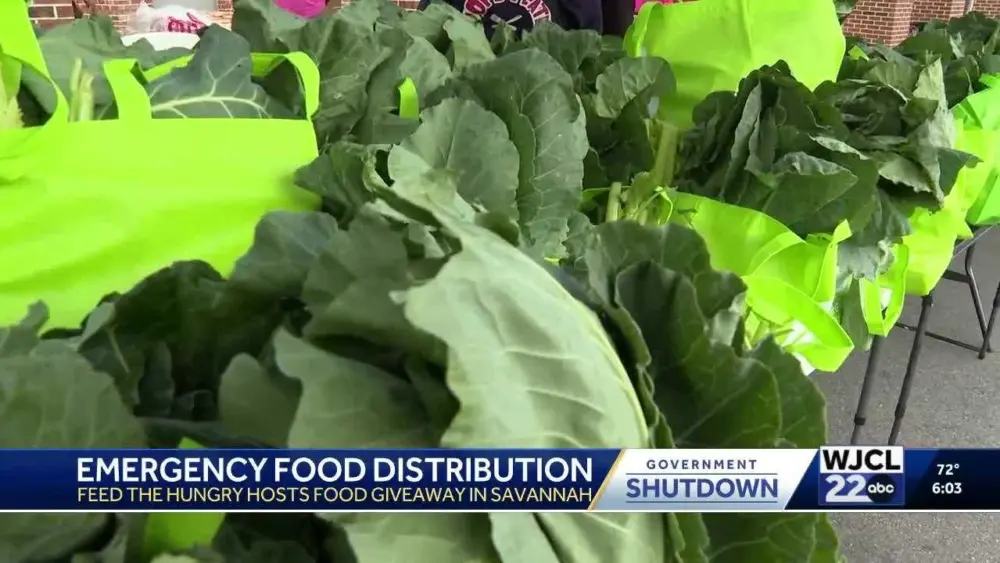 Emergency food giveaway brings hope to Savannah families