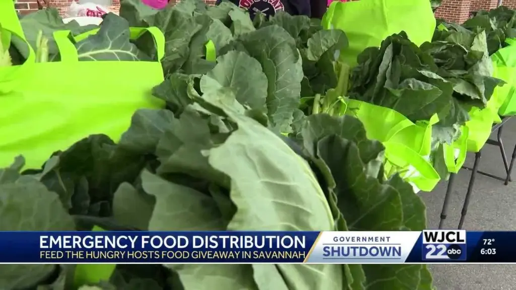 Emergency food giveaway brings hope to Savannah families