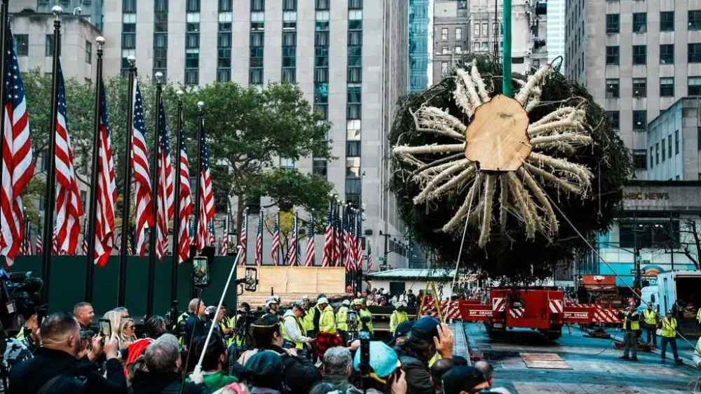 Rockefeller Center Christmas tree arrives in Manhattan, kicking off New York's holiday season