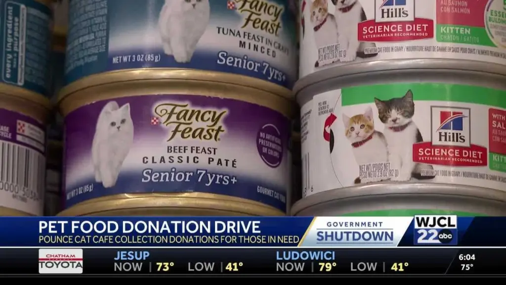 Savannah cat cafe launches pet food drive to help families during government shutdown