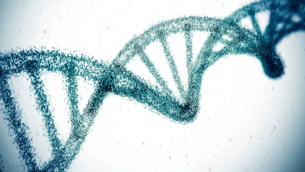 Scientists have edited a gene that may reduce high cholesterol permanently