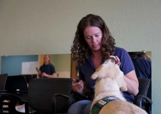 Army combat veteran honored for raising service dogs that change lives