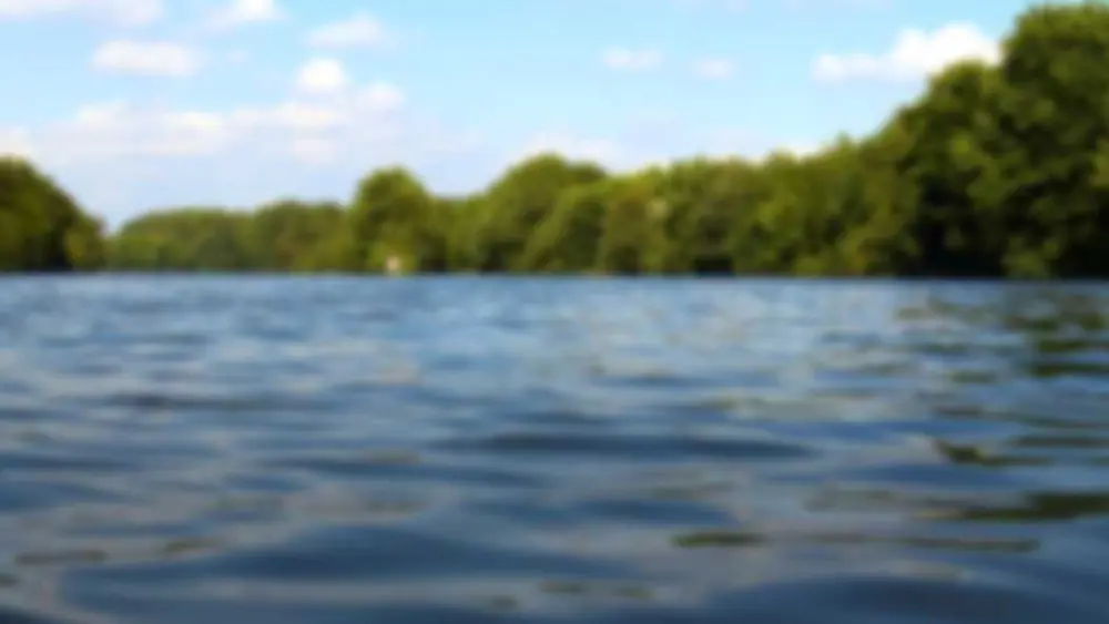 Man found dead after falling off boat near Georgia, South Carolina state line