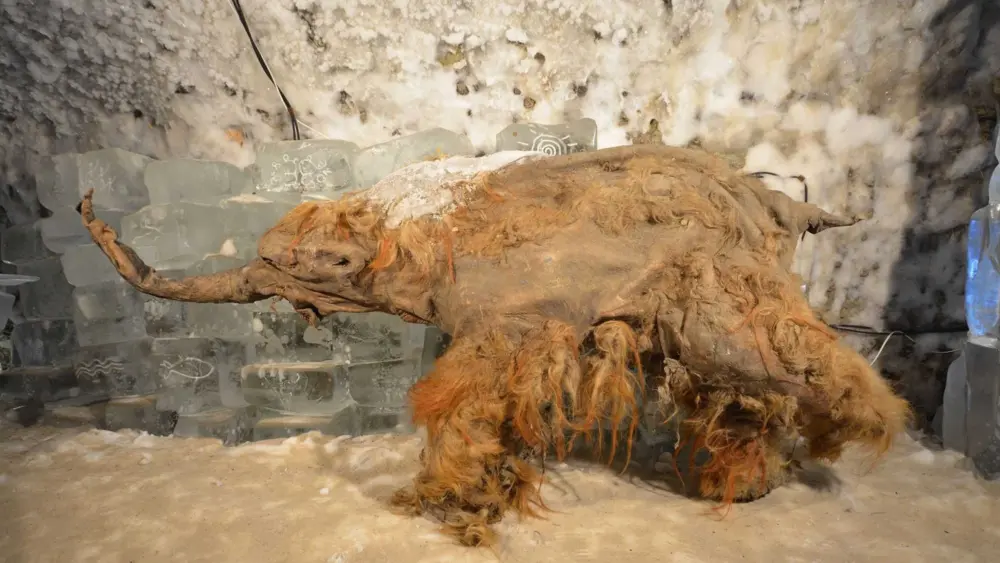 cnn-l19jb21wb25lbnrzl2ltywdll2luc3rhbmnlcy9jbwh4ehlqbjmwmda0mzu2bmpvywy0azhn-l19jb21wb25lbnrzl2fydgljbguvaw5zdgfuy2vzl2ntahh4d3vqnzawnnkyog5rn3c2ctaydnu-jpg-691bb84cc8338