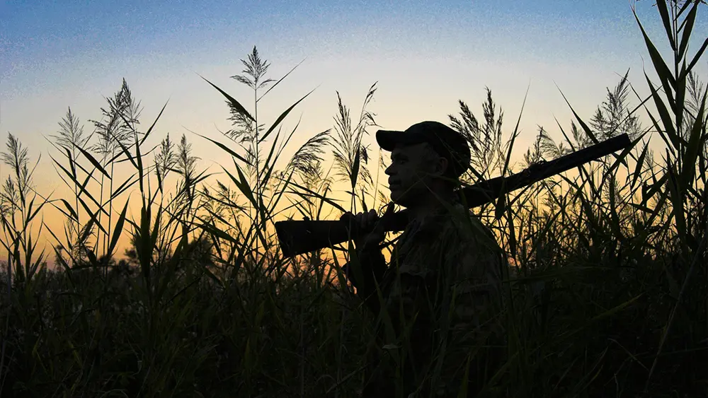 54 acres of hunting land closed in Beaufort County after bait found