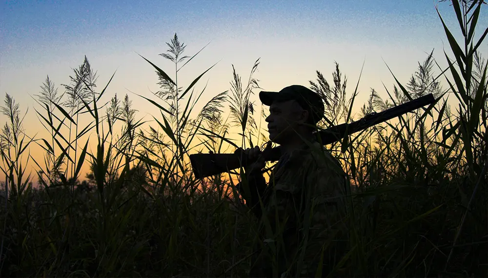 54 acres of hunting land closed in Beaufort County after bait found