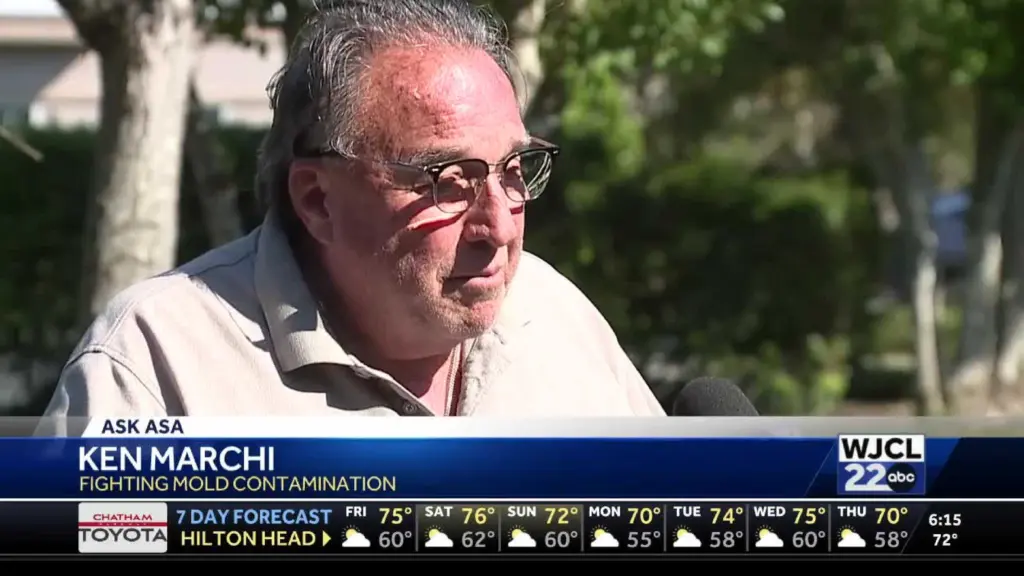 Ask Asa: How Hidden Mold Threatens Your Health, Home