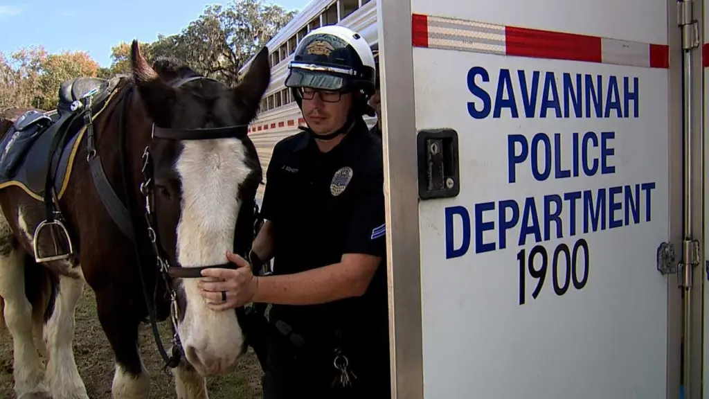 Mounted Patrol: The new tool that could help the Savannah Police Department find missing people