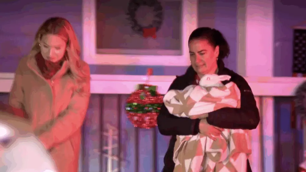 Rabbit saves Georgia family from house fire