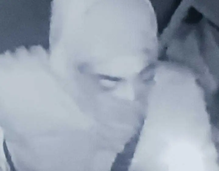 Reward offered in Hampton Piggly Wiggly and pharmacy burglary suspect search